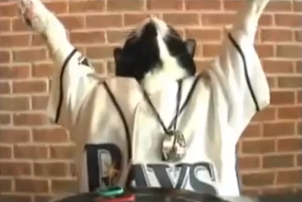 Two turntables and a baseball bat: 's DJ Kitty becomes MLB